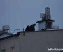 foto_a_kucharski_028