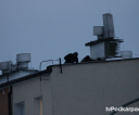 foto_a_kucharski_032