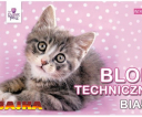 blok-2