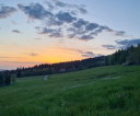 image006