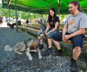 fot-tomasz-sowa-img_7533