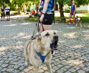 fot-tomasz-sowa-img_7552