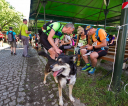 fot-tomasz-sowa-img_7559