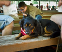 fot-tomasz-sowa-img_7565