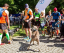 fot-tomasz-sowa-img_7638