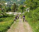 fot-tomasz-sowa-img_7756