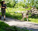 fot-tomasz-sowa-img_8009