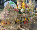 369049820_256553047313619_7528608170506625199_n
