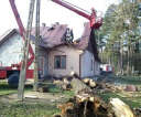 brzozow2