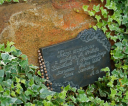 image015