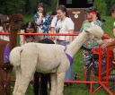 image074