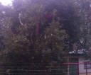 cam00692