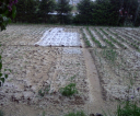 img20130521_003