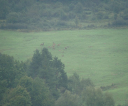 dsc00549