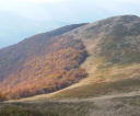 dscf7606