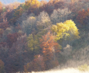 dscf7637