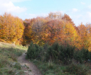 dscf7640