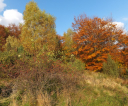 dscf7649