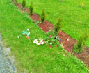 image030