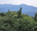 image019