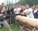 tn_img-296