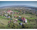witold_swiech_004_manewry