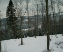 imag0014