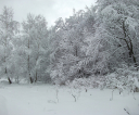 zima-luty2013-015