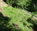 DSC03860
