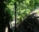 DSC03867