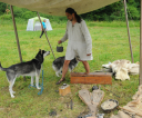 foto007