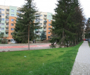foto20