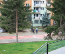 foto21