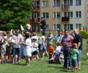 image3246