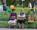image3349