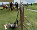 IMG_4043-Copy