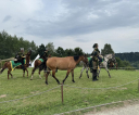IMG_4081-Copy