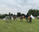 IMG_4097-Copy