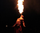 IMG_8550-Copy