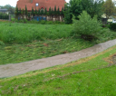 IMG_20190524_081804