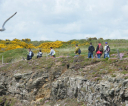 irlandia12