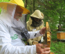 1-IMG_4524
