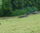 dsc06285-medium