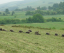 dsc06404-medium