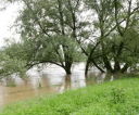 image018