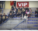 sanok-nowytarg-007-witold-swiech