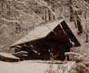 image011
