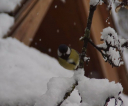 image045