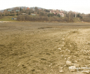 Wołkowyja