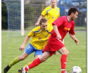 wybrane-stal-sanok-polonia-przemysl-20110430_026